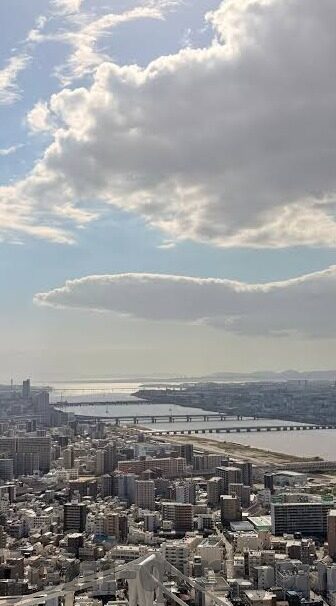 大象传媒国产下载-大象传媒，国产内容下载的多元视角