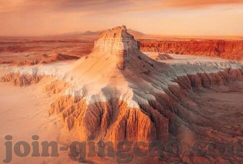 大象回家传媒-探索大象回家传媒，创新与责任并行的文化传播力量