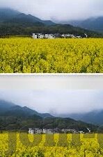 国产日韩欧美综合av-多元文化视角下的影视娱乐，国产、日韩、欧美综合AV的多元魅力