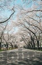 果冻传媒七夕-七夕佳节，果冻传媒的甜蜜献礼