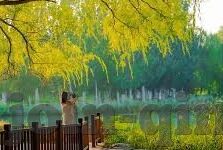 久久久精品人妻一区二区三区四-平台的理性边界，网络世界的多元视角