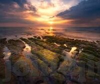 快猫回家视频麻豆-旋律在家的空气中流淌