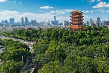 麻豆视频app破解不限次数-解析网络视频平台的多元化选择与合规应用的重要性