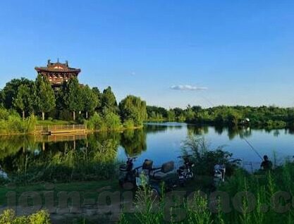 麻豆探花视频-探秘麻豆探花视频，互联网时代下的内容审视与界限