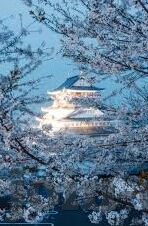 麻豆影视文化传媒app下载入口-麻豆影视文化传媒——享受娱乐的精彩纷呈