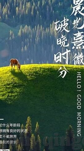 糖心vlog官网免费-糖心Vlog官网，免费记录你的生活美学